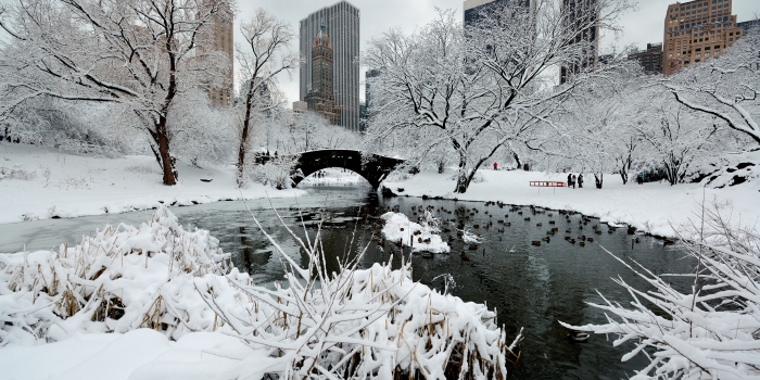 FESTIVITA' NATALIZIE A NEW YORK